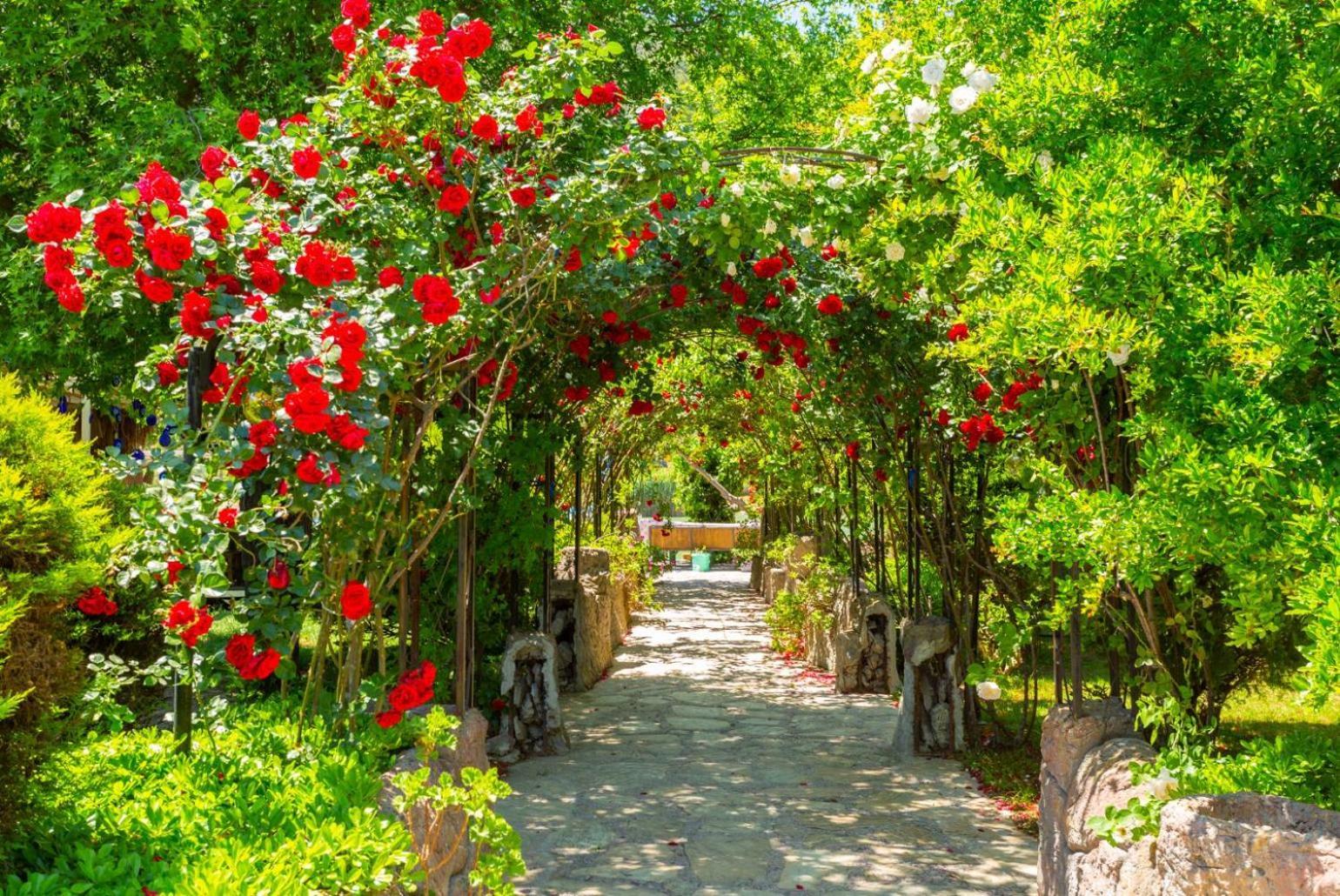 Villa Ayla Paradise Dalyan Extérieur photo